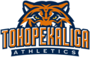Tohopekaliga High School Track